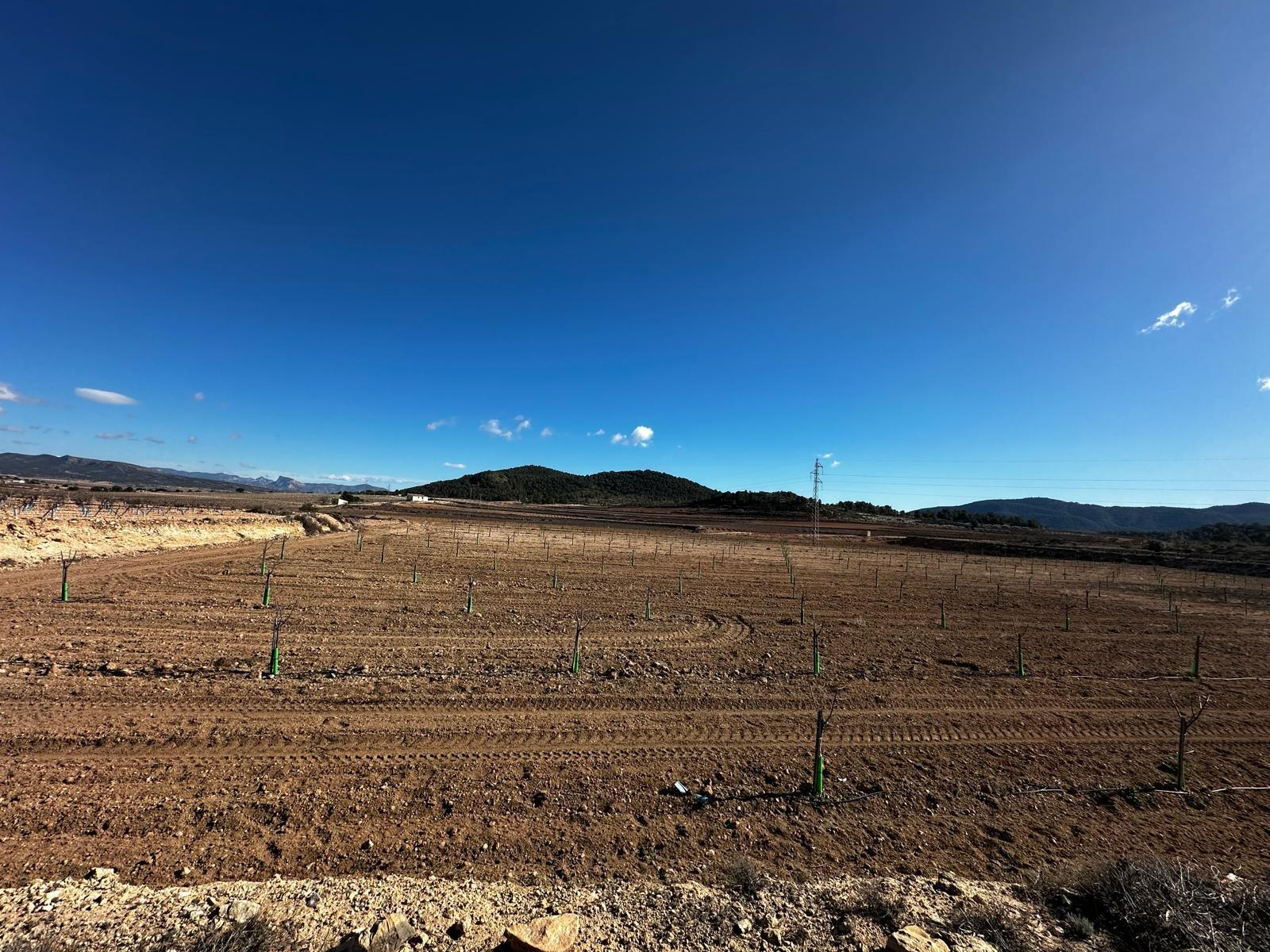 Terreno rural