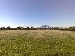 Terreno industrial